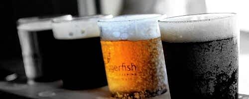 beers-1283566_1280